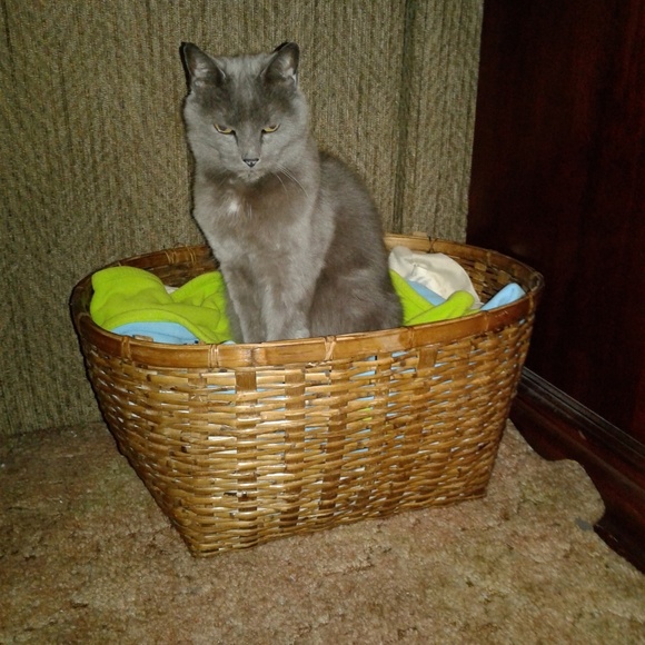 Melissa 🌟Posh Ambassador!🌟 - Picture 3 of 16